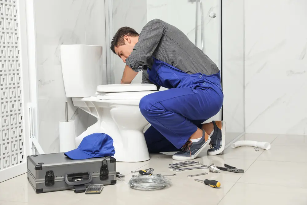 Toilet Repair in Driscoll